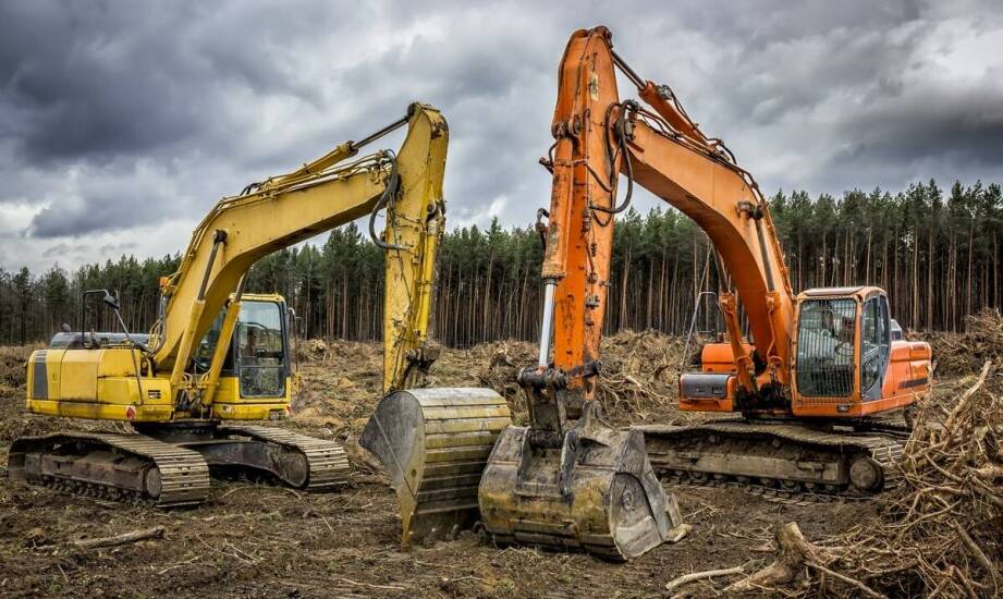 Frezowanie pni a przygotowanie terenu do budowy – co warto uwzględnić?
