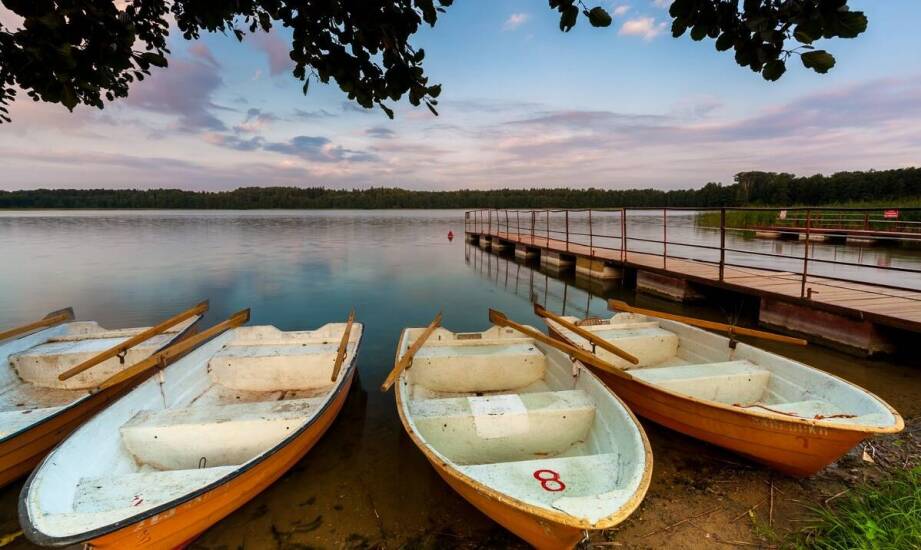 Przyroda na Mazurach jako idealne tło dla obozów survivalowych