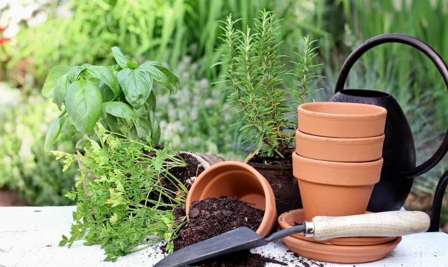 Przewodnik po wyborze materiałów na tanie ogrodowe donice