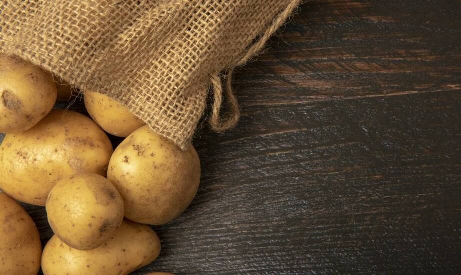 Jakie są kluczowe cechy ziemniaka sadzeniaków dostępnych w sklepie internetowym?