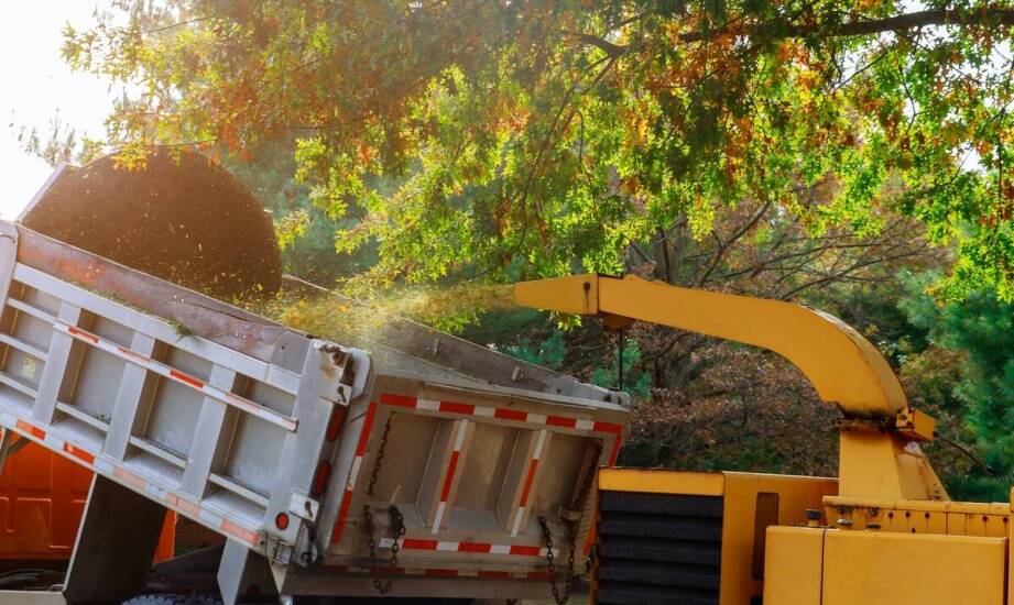 Jakie są najnowsze trendy w technologiach frezowania pni drzew i utrzymaniu zieleni?