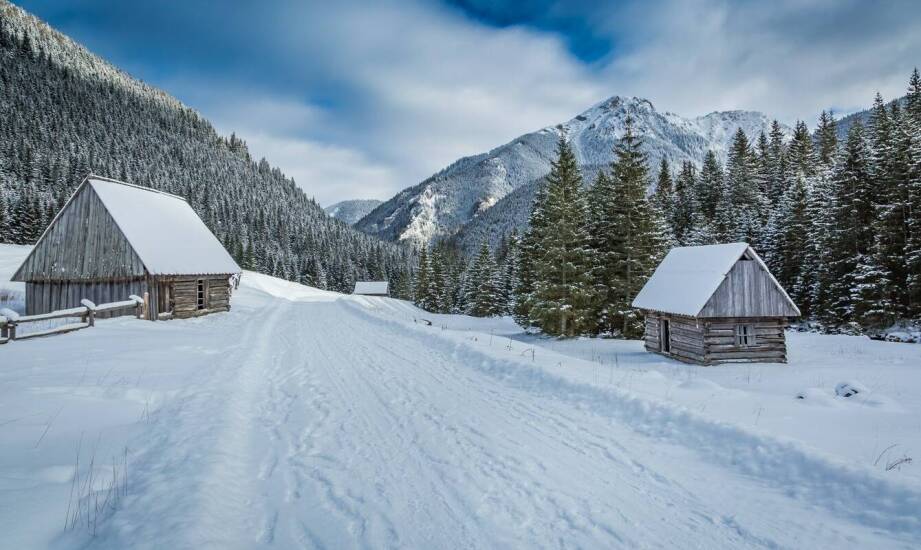 Wyjazdy narciarskie do Włoch z Primoris – co warto wiedzieć przed podróżą?