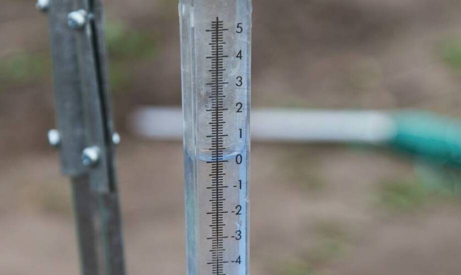 Jakie są zalety stosowania nowoczesnych poidełek w hodowli ptaków?