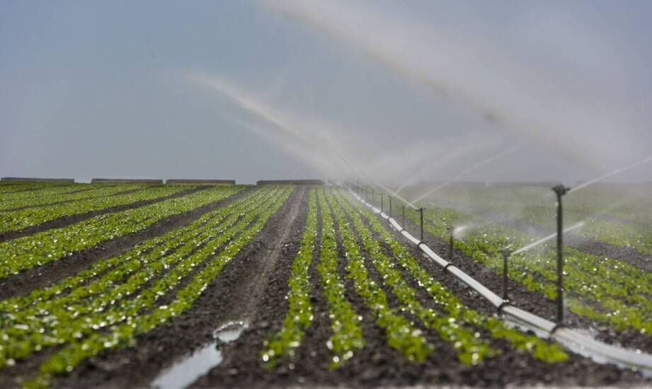 Eżektorowe rozpylacze: klucz do zrównoważonego rozwoju w rolnictwie