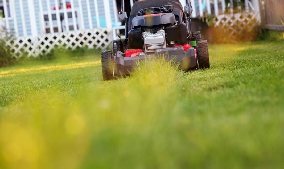 Wpływ jakości elektrycznych kosiarek na kondycję trawnika