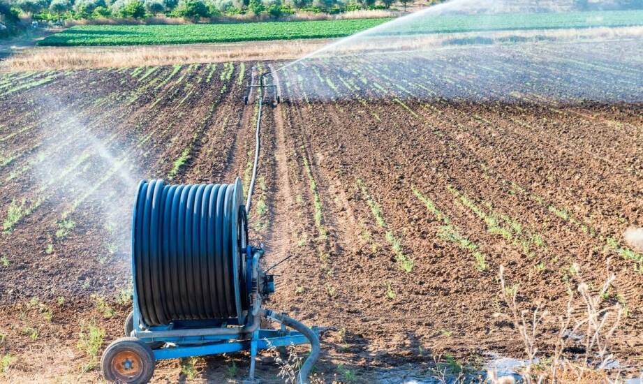 Jakie są najnowsze innowacje w produkcji i dystrybucji ziemniaków sadzeniaków?