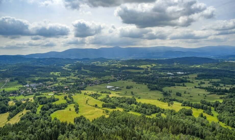 Wyjątkowe trasy Dolnośląskich Kolei prowadzące do Skalnego Miasta
