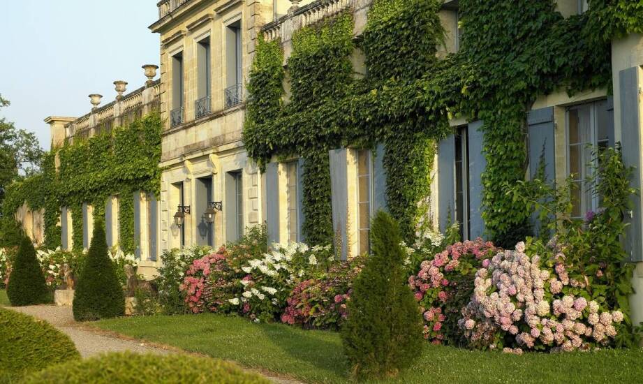 Jakie są najczęstsze wyzwania związane z uprawą kolumnowych drzewek ozdobnych?