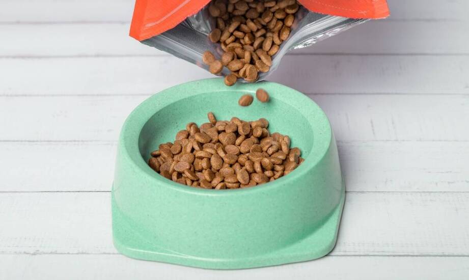 Co sprawia, że karma Nero Gold zdobyła uznanie na rynku?