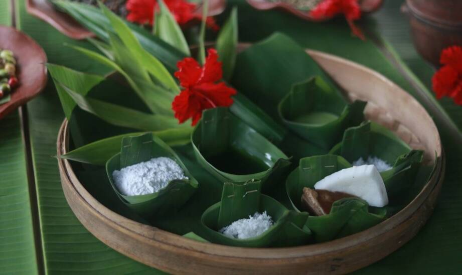 Jak nasiona Orion Seeds mogą wspierać alternatywne metody leczenia?