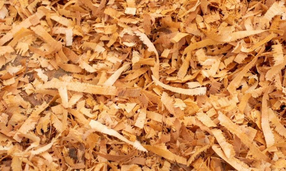 Jakie są najczęstsze błędy przy wyborze rębaków do drewna?