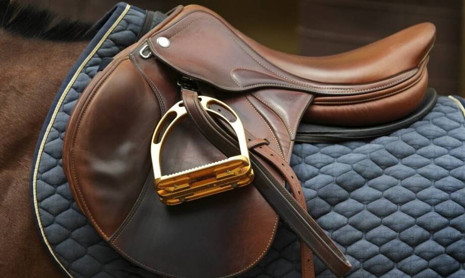 Jakie są korzyści z inwestycji w stalowe pomieszczenie do ujeżdżania dla koni?