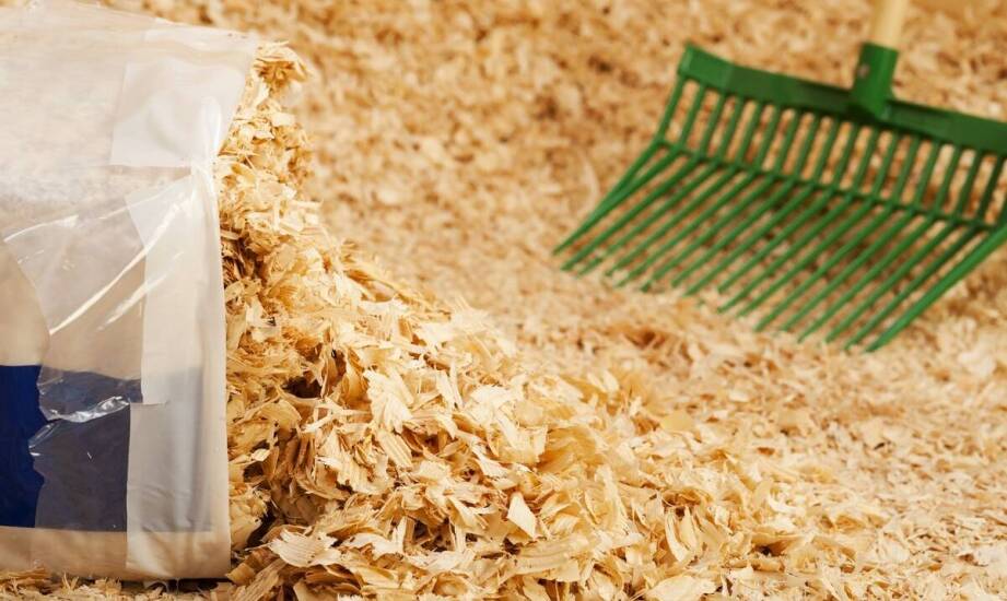 Jakie strategie stosują producenci pasz, aby utrzymać konkurencyjność na rynku?