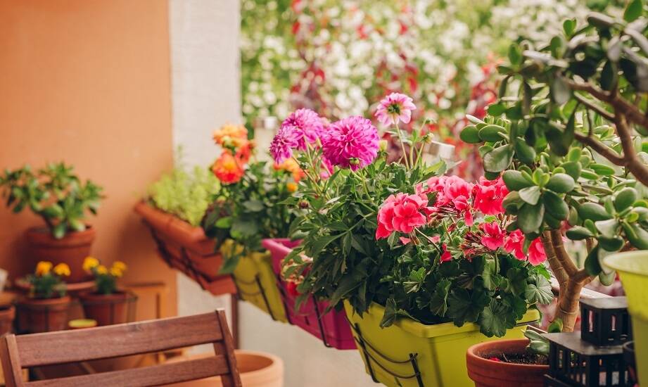 Doniczki na balkon a ochrona prywatności – czy to możliwe?