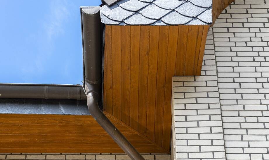 Jakie są różnice między podbitką z drewna liściastego a iglastego?