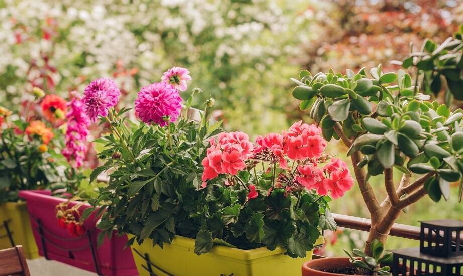 Praktyczne zastosowanie doniczek na balkon do uprawy ziół i kwiatów