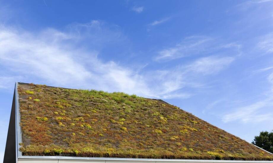 Jakie są najnowsze technologie w termicznej izolacji dachów?