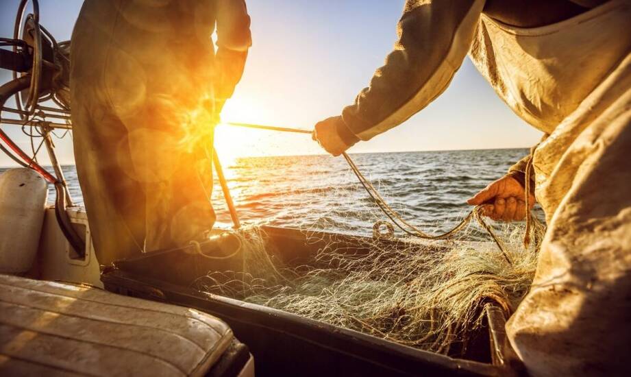 Pułapkowe sieci jako skuteczna metoda połowu węgorzy