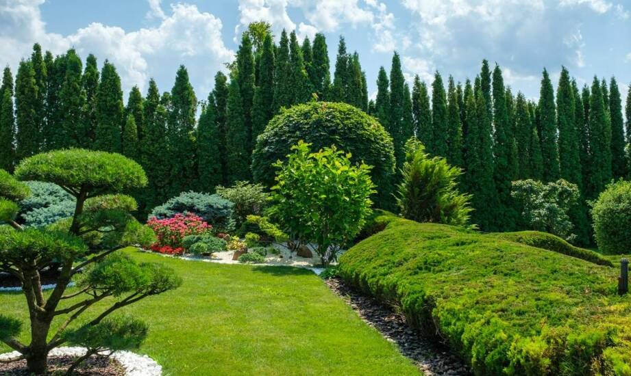 Porównanie różnych modeli dużych ogrodowych trampolin dostępnych na rynku