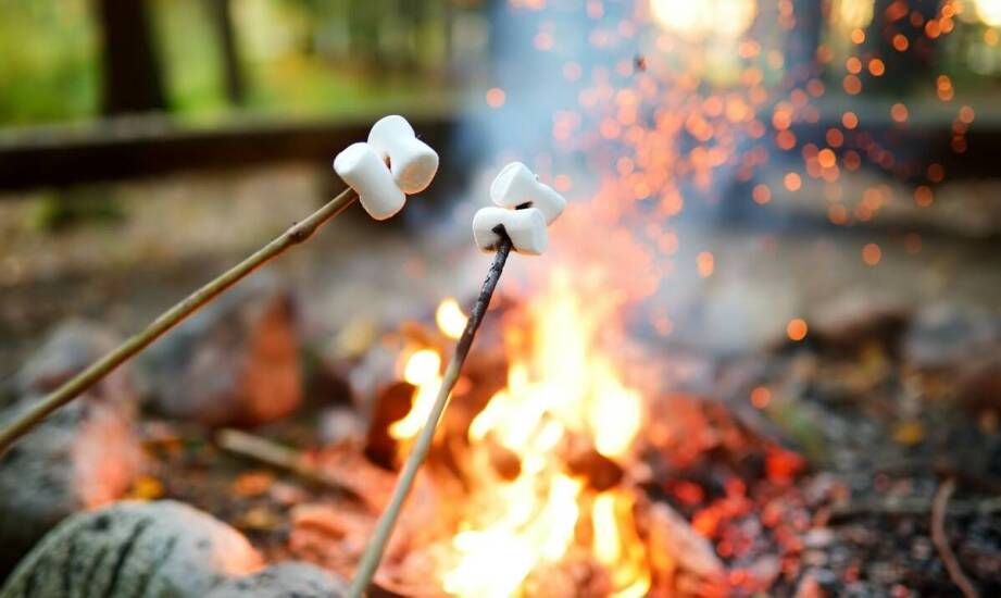 Porady ekspertów: Jak przedłużyć żywotność namiotowych szpilek?