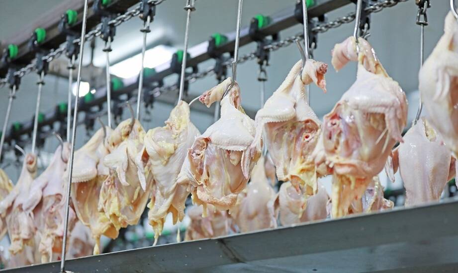 Bezpieczeństwo i higiena w hurtowniach drobiowych