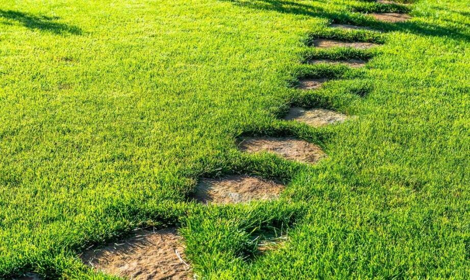 Trawa rolowana jako rozwiązanie dla trudnych warunków glebowych