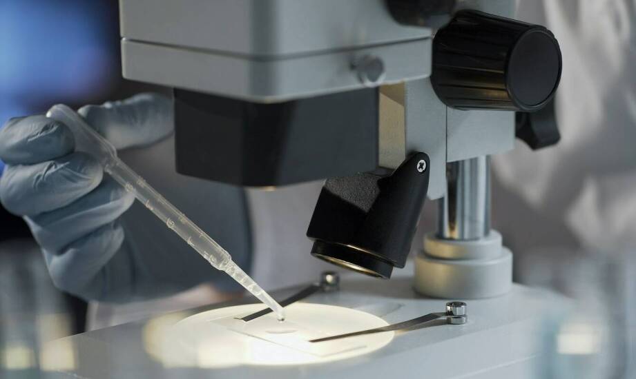 Kamerton w badaniach laryngologicznych