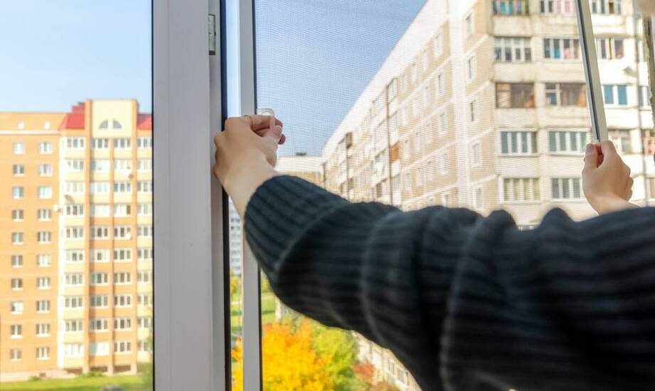 Rolowane moskitiery – dlaczego są tak popularne?