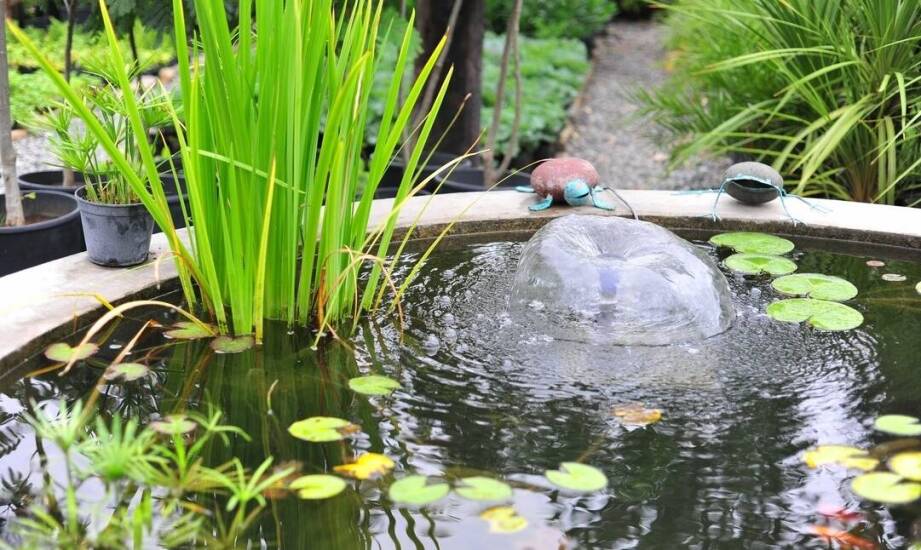 Jak działa lampa bakteriobójcza w oczku wodnym?