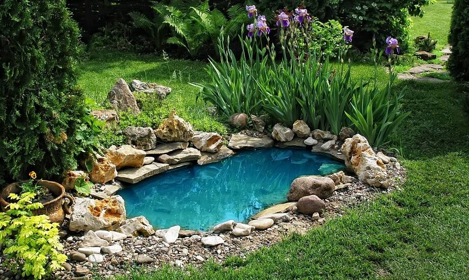 Zastosowanie samoczyszczących technologii w pielęgnacji oczek wodnych