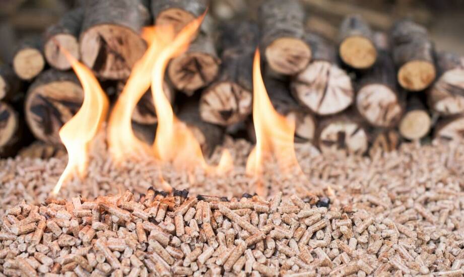 Rola doradztwa w wyborze odpowiedniego opału dla domowych gospodarstw