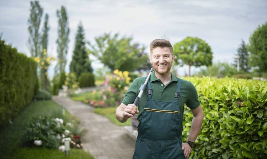 Jak sekatory do żywopłotu mogą przyspieszyć pielęgnacyjne prace?