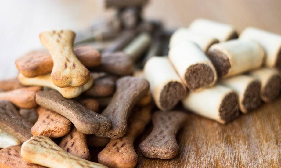 Nowoczesne wzory nerek na smaczki dla psa: przegląd najnowszych trendów