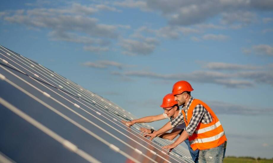 Producent hal magazynowych a zrównoważony rozwój – jakie stosuje praktyki?