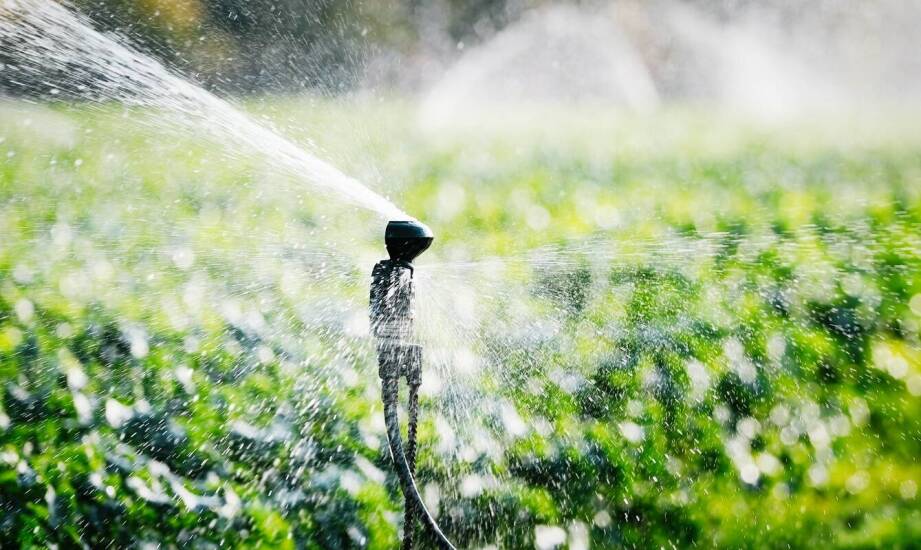 Automatyczne systemy nawadniania a oszczędność zasobów i czasu