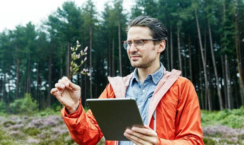 Znaczenie dendrologicznych ekspertyz w ocenie zagrożeń związanych z drzewostanem
