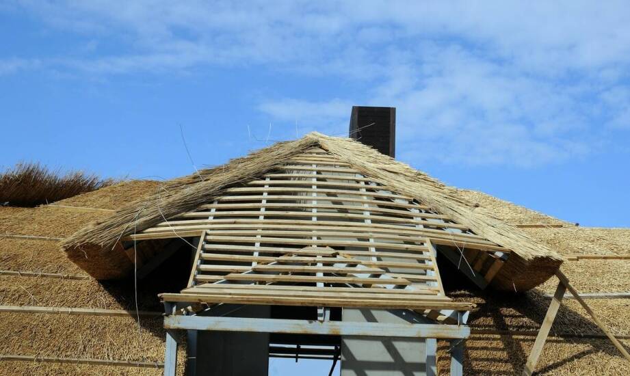 Zastosowanie dachowej trzciny w architektonicznych projektach
