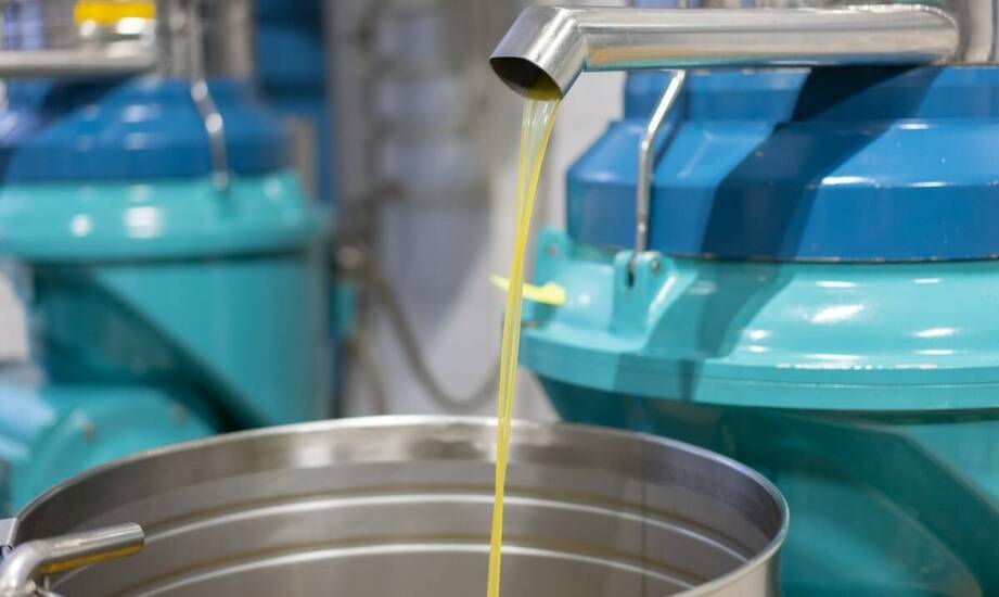 Oliwa z oliwek w sklepie – jak rozpoznać prawdziwą jakość?