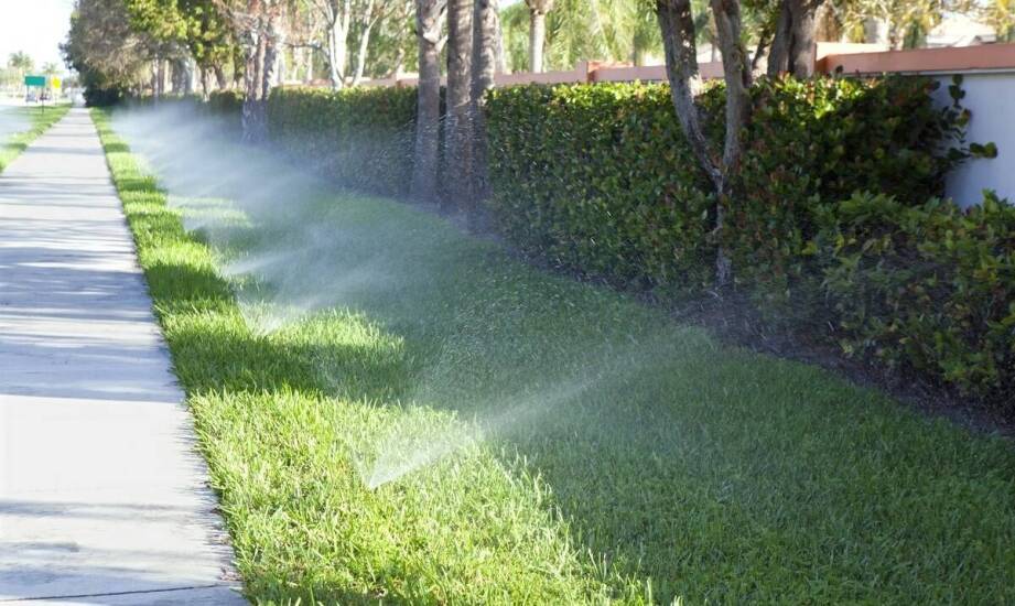 Personalizacja systemu nawadniania trawnika a jego efektywność