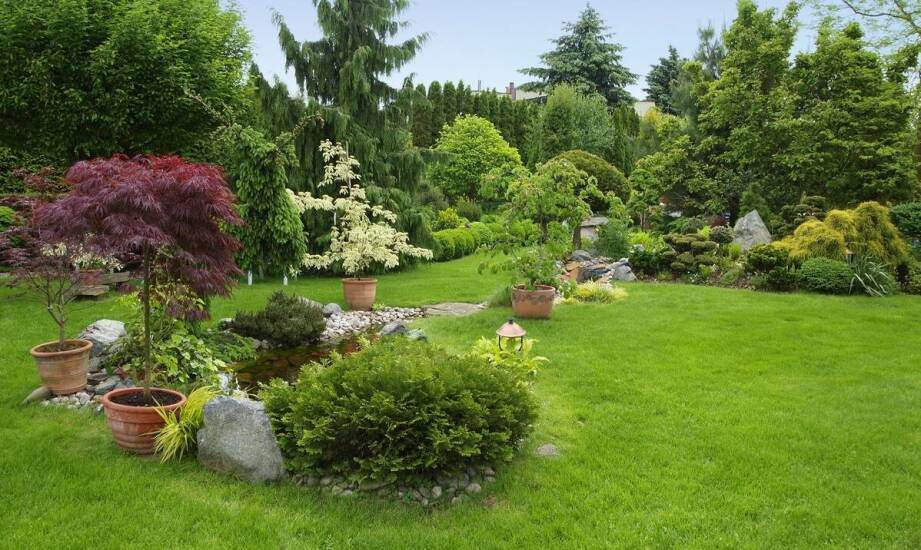 Krzewy ozdobne do ogrodu – jakie gatunki są najbardziej odporne na zmienne warunki pogodowe?