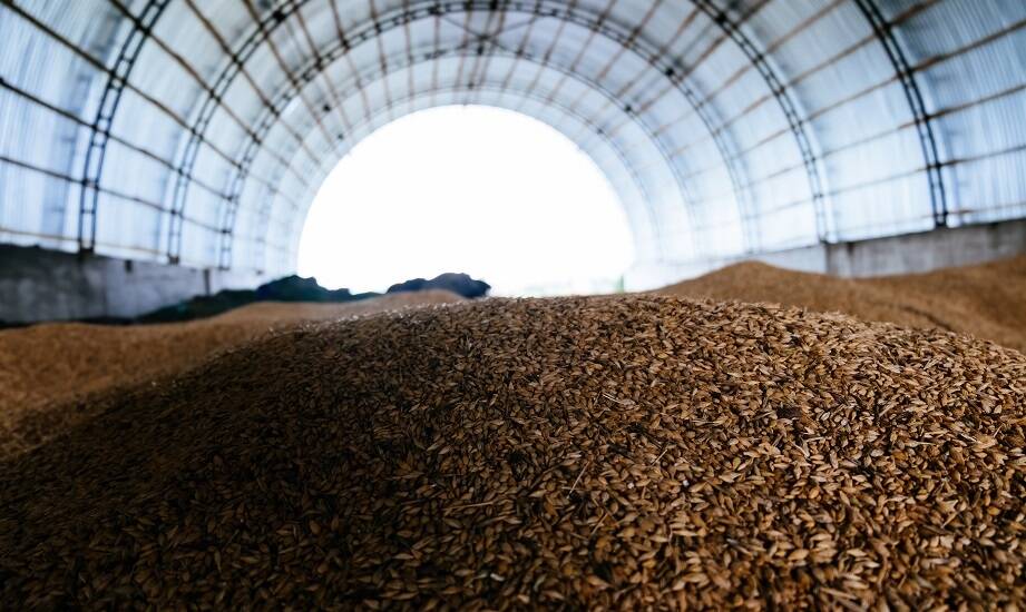 Zastosowanie hal łukowych do przechowywania płodów rolnych: zalety i wyzwania