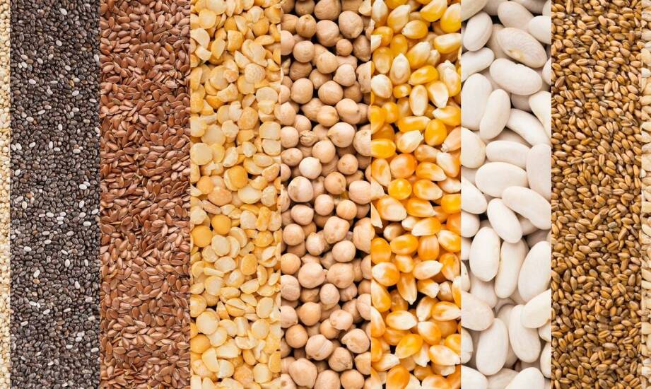 Rola innowacji w rozwoju siewnego materiału