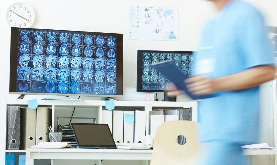 Wpływ komputerowej tomografii na precyzję diagnostyki weterynaryjnej