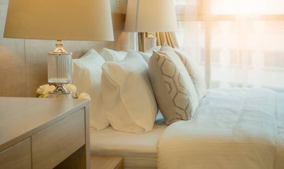 Skuteczność profesjonalnej dezynsekcji pluskiew – czego można się spodziewać?