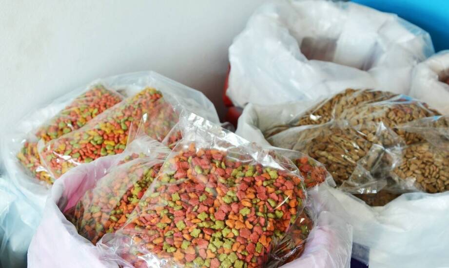 Jakie składniki powinny zawierać ekologiczne suche karmy dla kotów?