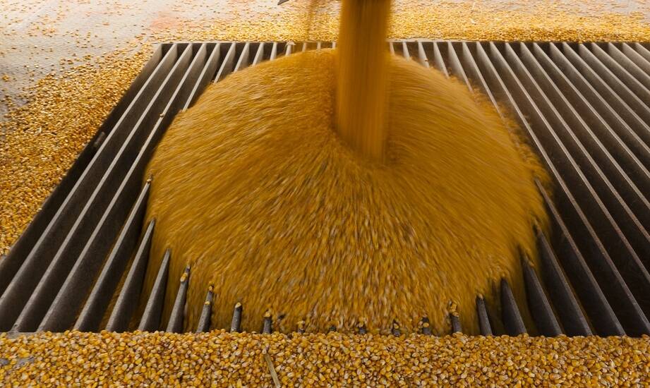Kluczowe czynniki wpływające na decyzję o zakupie suszarni do kukurydzy