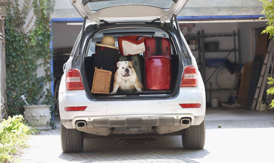 Kofferraum klappe: Welche modernen Technologien findet man in regenerierten Teilen?