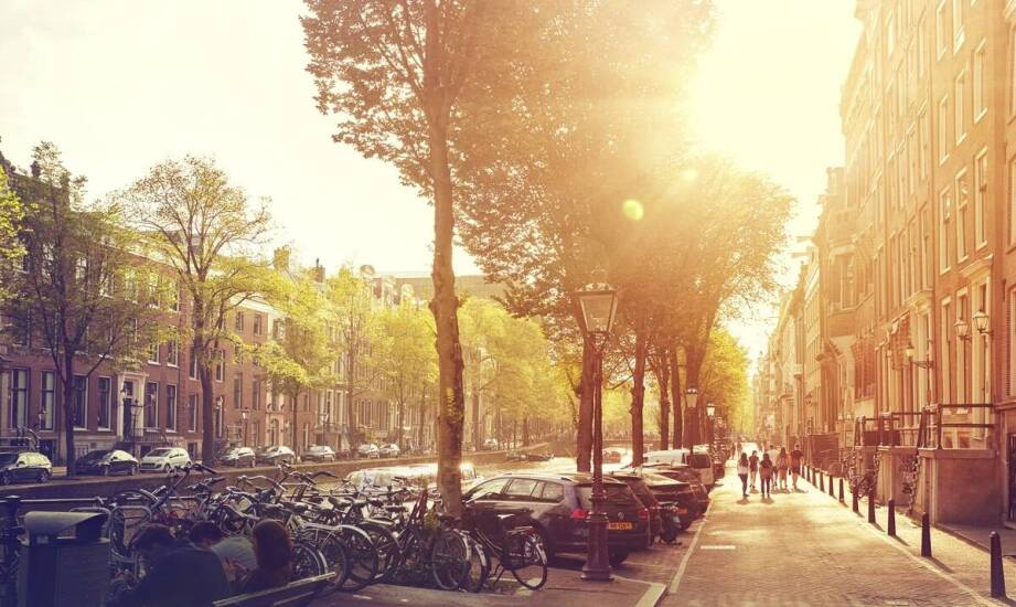 Jak zorganizować transport bagażowy na terenie w mieście?