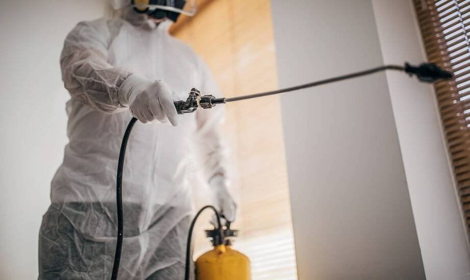 Jak nowoczesne metody deratyzacji wpływają na ochronę środowiska?