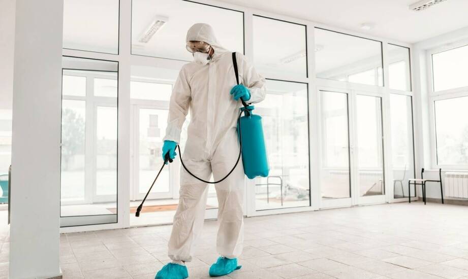 Jak deratyzacja wpływa na ochronę budynków przed szkodnikami?